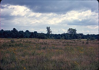 Geodesic Dome Project Photo