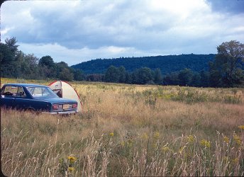 Geodesic Dome Project Photo
