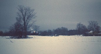 Geodesic Dome Project Photo