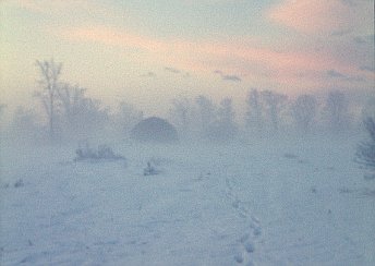Geodesic Dome Project Photo