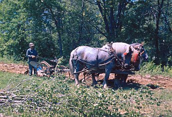 Geodesic Dome Project Photo