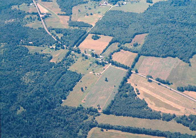 Geodesic Dome Project Photo