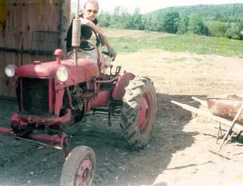 Geodesic Dome Project Photo