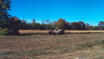 Geodesic Dome Project Photo