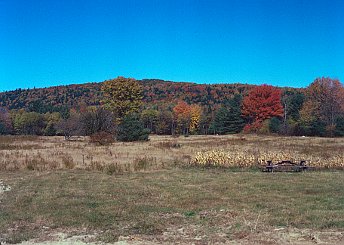 Geodesic Dome Project Photo