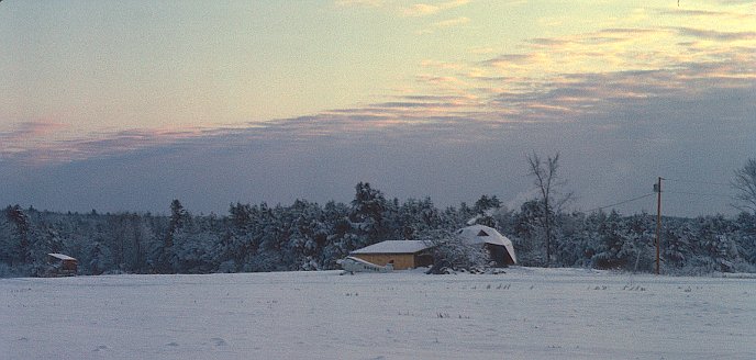Geodesic Dome Project Photo