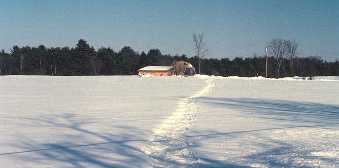 Geodesic Dome Project Photo