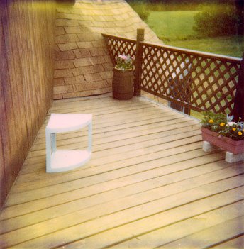 Geodesic Dome Project Photo