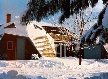 Geodesic Dome Project Photo