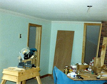 Geodesic Dome Project Photo