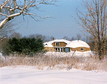 Geodesic Dome Project Photo